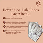 Niacinamice Glow Face Sheet Mask